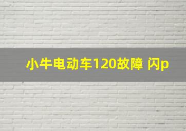 小牛电动车120故障 闪p